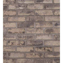 Петровский Штандарт Желто-коричневый WDF