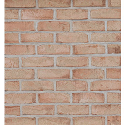 Петровский Штандарт Желто-красный WDF